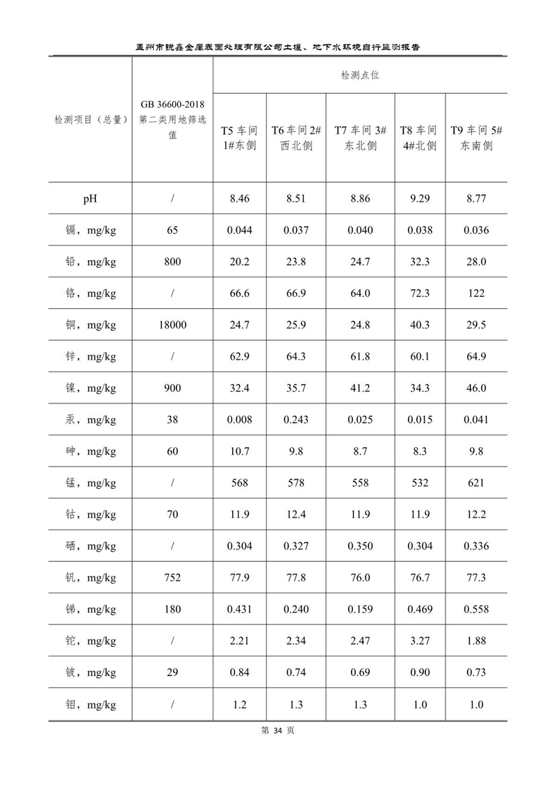 孟州市銳鑫金屬表面處理有限公司自行監測報告_38.JPG