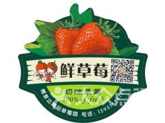 南京傅家邊老朱精品草莓園 采摘、農(nóng)家樂(lè)與田園時(shí)光的完美攻略