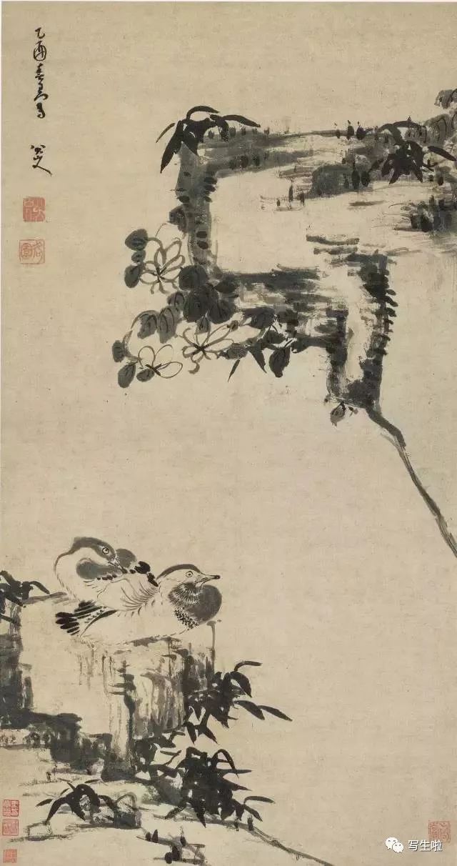 憑一“白眼”獨(dú)步古今——八大山人水墨畫(huà)里的南京竹石