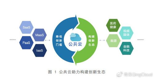 人工智能時(shí)代 公共云如何驅(qū)動(dòng)數(shù)智化轉(zhuǎn)型與人工智能應(yīng)用軟件開發(fā)